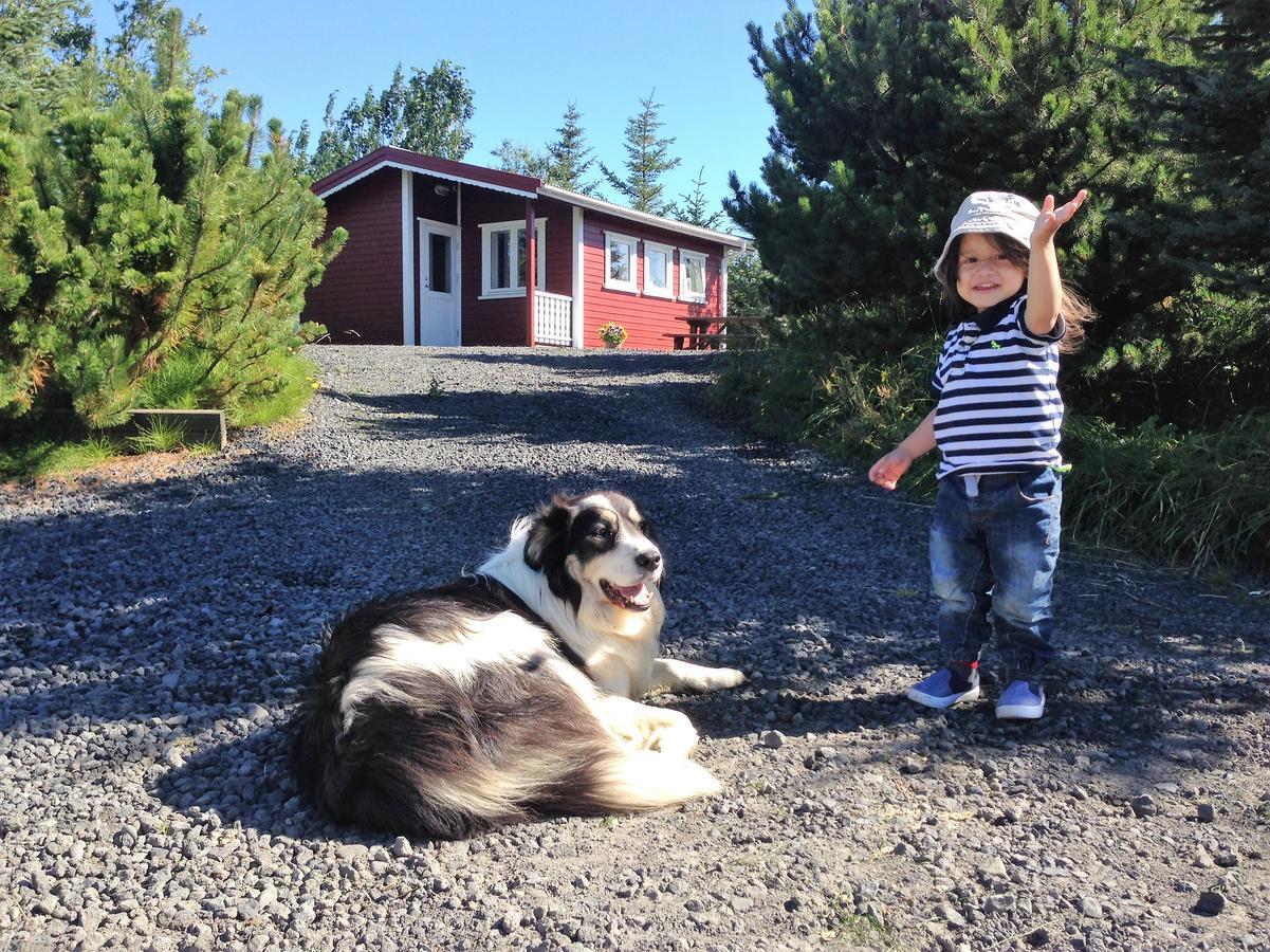 Klara'S Farm Holidays Hella Εξωτερικό φωτογραφία