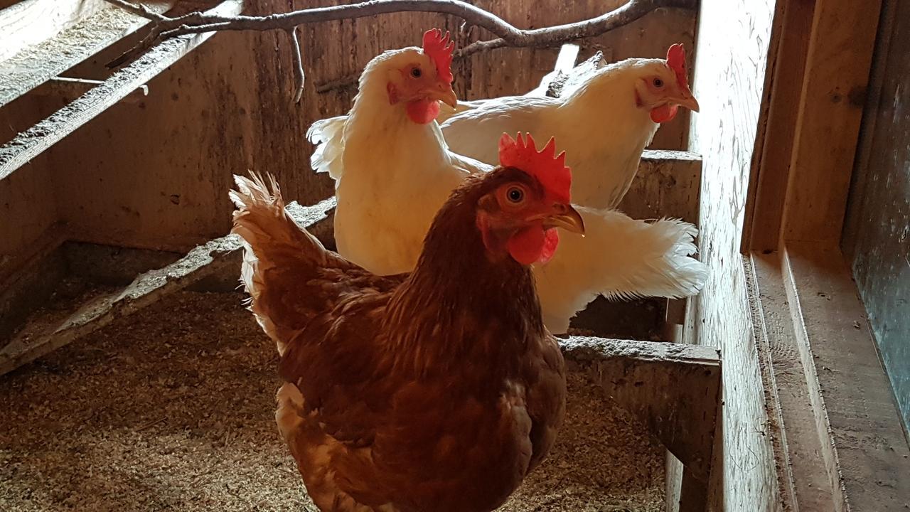 Klara'S Farm Holidays Hella Εξωτερικό φωτογραφία