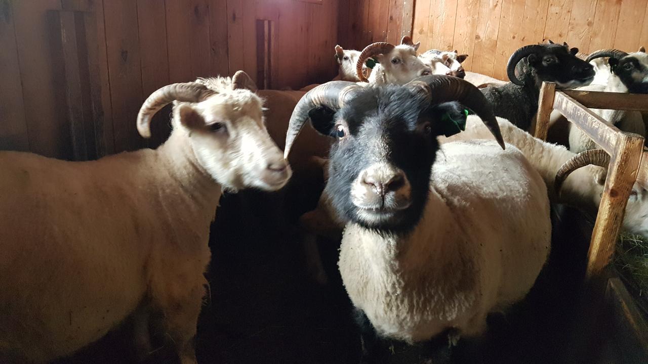 Klara'S Farm Holidays Hella Εξωτερικό φωτογραφία