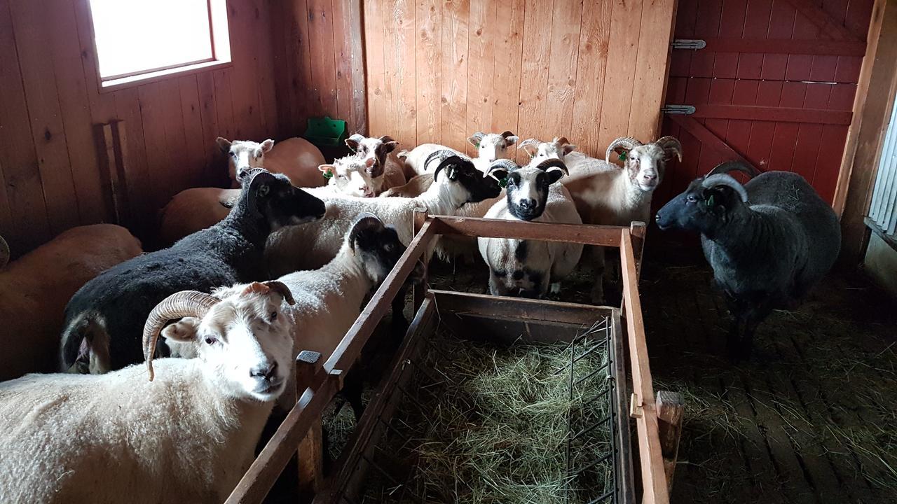 Klara'S Farm Holidays Hella Εξωτερικό φωτογραφία