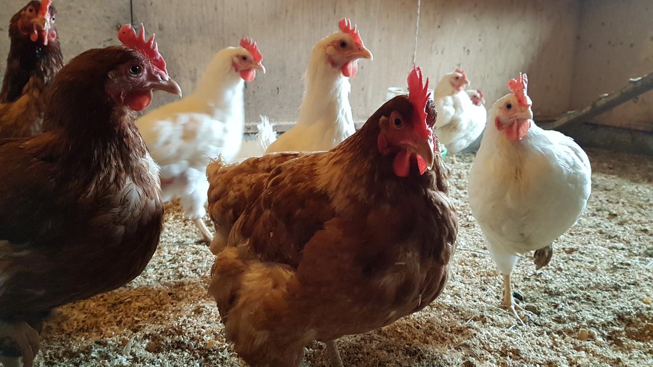 Klara'S Farm Holidays Hella Εξωτερικό φωτογραφία